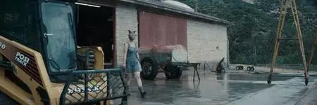 The Farm (2018)