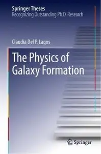The Physics of Galaxy Formation [Repost]