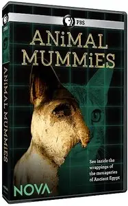 PBS - NOVA: Animal Mummies (2015)