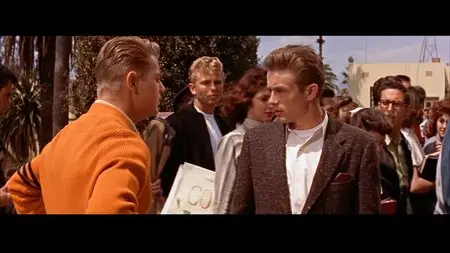 Rebel Without a Cause (1955) [Special Edition]