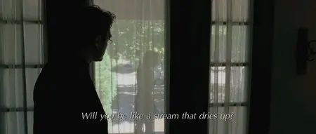 To the Wonder (2012)