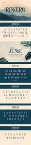 Rinnero Serif Font