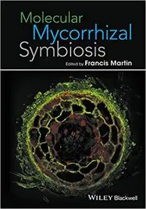 Molecular mycorrhizal symbiosis (Repost)