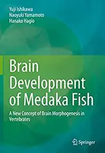 Brain Development of Medaka Fish