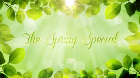The Spring Special - Promo Pack - Project for After Effects (VideoHive)