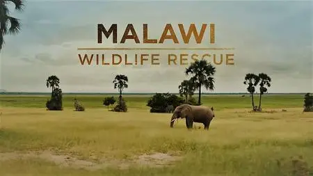 Smithsonain Ch. - Malawi Wildlife Rescue: Series 1 (2021)