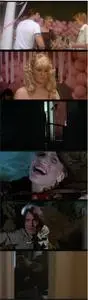 The Prowler (1981)