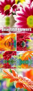 Stock Photo - Flowers in Water