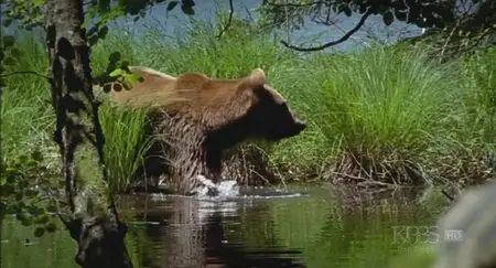 PBS Nature - Land of the Falling Lakes