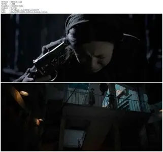 The Bullet Vanishes (2012)