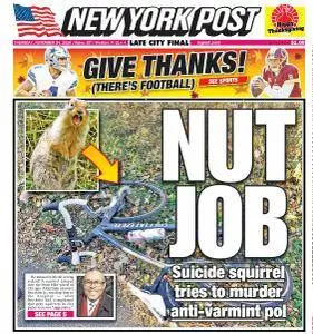 New York Post - November 24, 2016