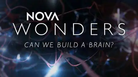 PBS - NOVA Wonders: Can We Build a Brain? (2018)