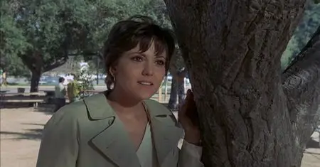 Summertree (1971)
