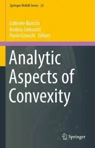 Analytic Aspects of Convexity