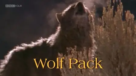 BBC Natural World - Wolf Pack (2004)