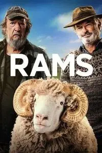 Rams (2020)