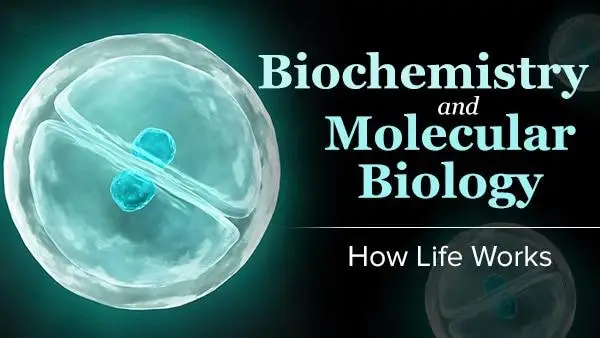 Biochemistry And Molecular Biology: How Life Works / AvaxHome