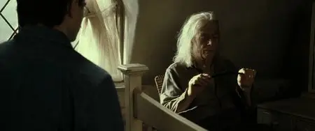 Harry Potter and the Deathly Hallows: Part 2 (2011)