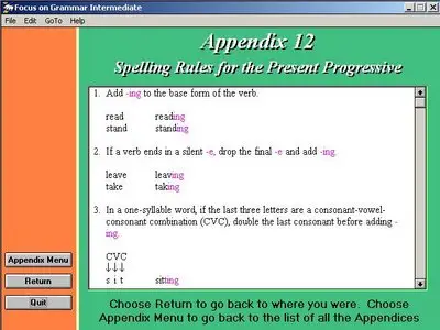 Focus on Grammar: Intermediate Level (Logman Grammar Series) (CD-ROM)