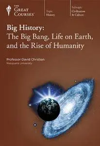 Big History: The Big Bang, Life on Earth, and the Rise of Humanity [repost]