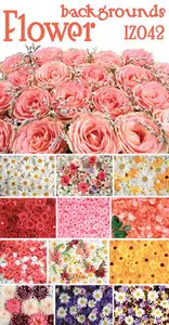 Flower background IZ042