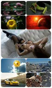 Beautiful Mixed Wallpapers Pack 688