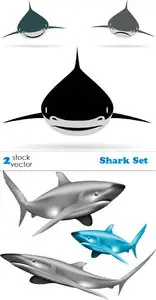 Vectors - Shark Set