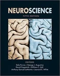 Neuroscience (5th Edition) (Repost)