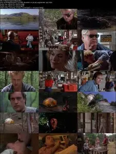 A Breed Apart (1984) 