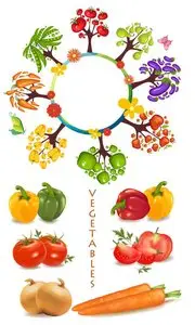 Vegetables in vector