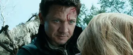 Hansel and Gretel: Witch Hunters (2013)