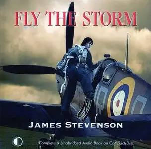 Fly The Storm (Audiobook)