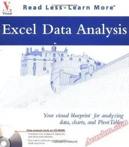Excel Data Analysis: Your visual blueprint  for analyzing data, charts, and PivotTables
