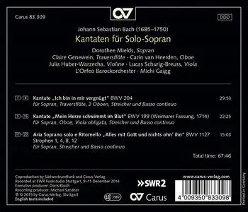 Dorothee Mields, Michi Gaigg, L'Orpheo Barockorchester - Johann Sebastian Bach: Kantaten für Solo-Sopran (2015)