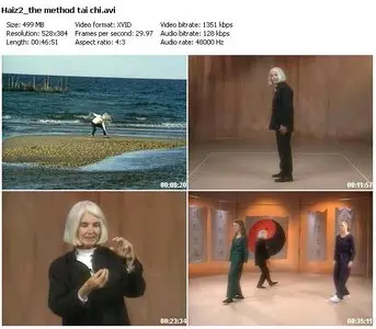 The Method - Taichi: Beginner Level (2000) 