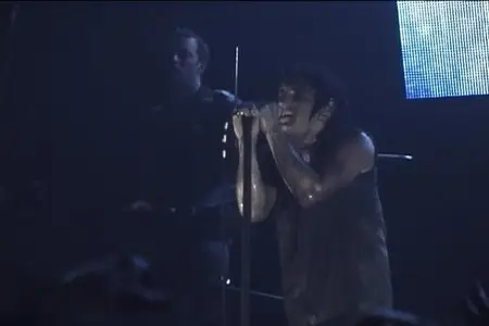 Nine Inch Nails: And All That Could Have Been - Live (2002)