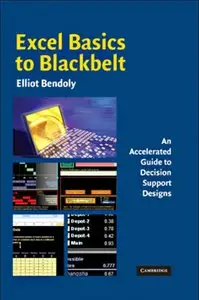 Excel Basics to Blackbelt: An Accelerated Guide to Decision Support Designs