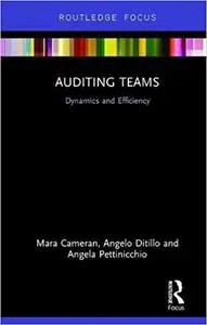 Auditing Teams: Dynamics and Efficiency