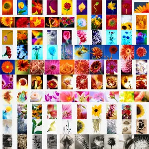 Floral Portraits