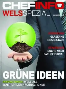 Chefinfo Wels Spezial – November 2017