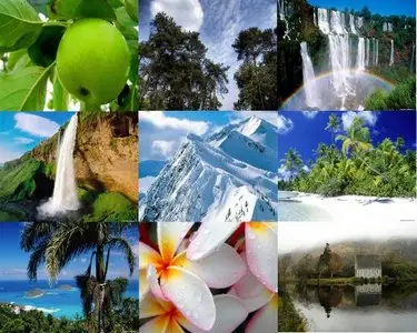 Wallpaper Pack #63