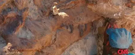 Dinosaur 13 (2014)