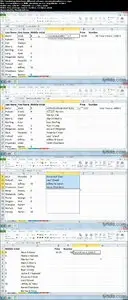 Lynda - Cleaning Up Your Excel 2010 Data