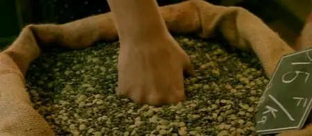 Die fabelhafte Welt der Amelie (2001)