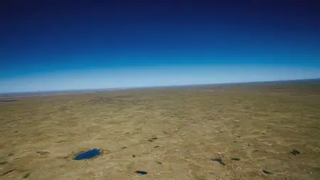 IMAX. To the Arctic / IMAX. Арктика (2012) 