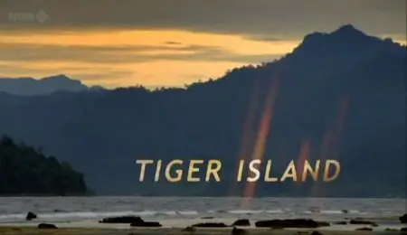 BBC Natural World - Tiger Island (2012)