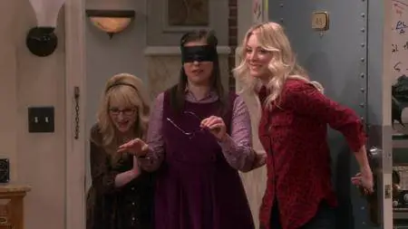 The Big Bang Theory S11E20