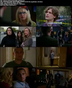 Criminal Minds S07E16 "A Family Affair"