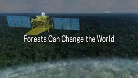 Forest can change the world (2018)