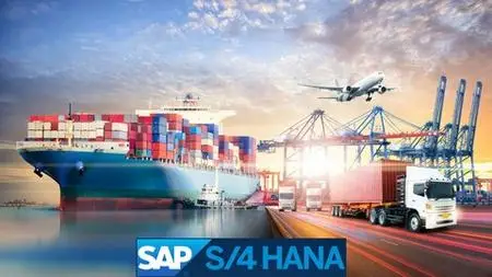 Learn Sap S/4 Hana Transportation Management, Bn4L Project44